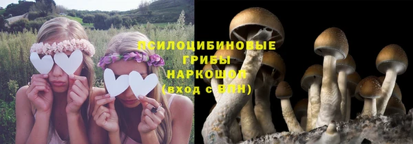 МДПВ Алзамай