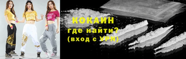 МДПВ Алзамай