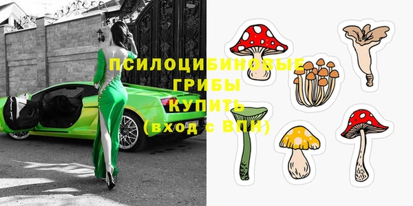 ешки Алексеевка