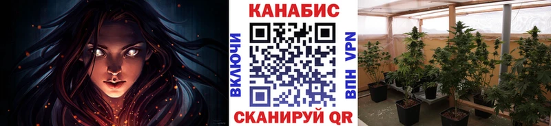 Конопля план  OMG зеркало  Березники 